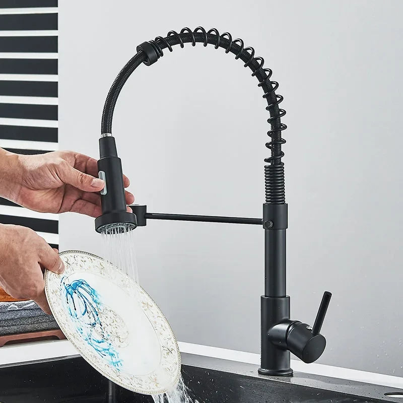 Matte Black Kitchen Faucet