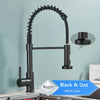 Matte Black Kitchen Faucet