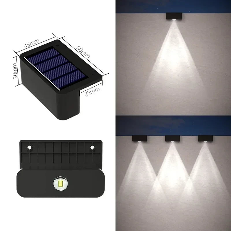 Solar Pathway Light